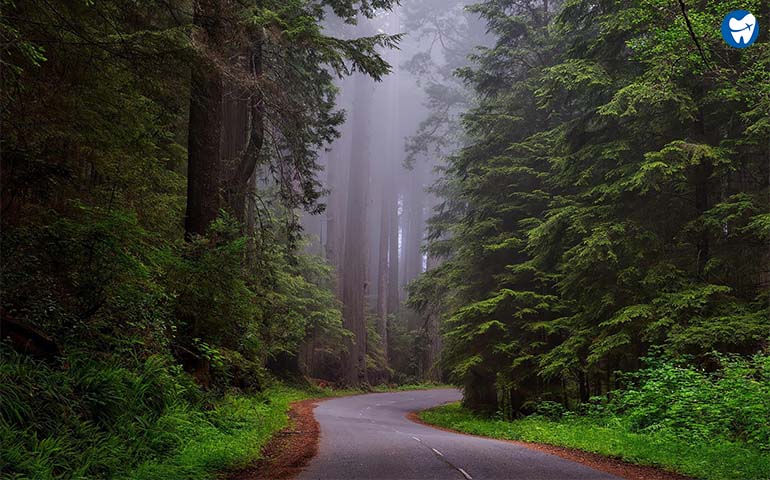 Nature Walk in Cali Colombia