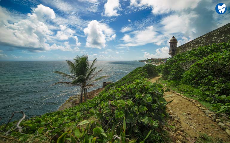 Puerto Rico para dental implantes