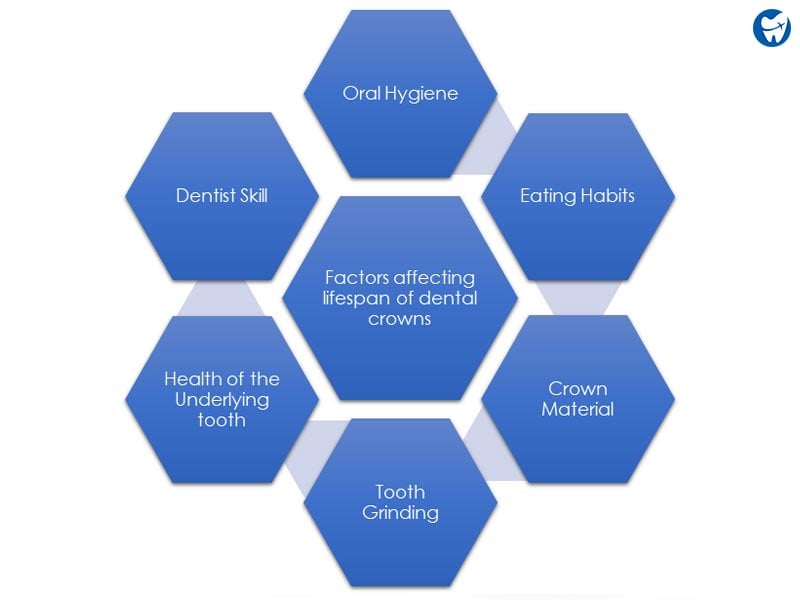 Crowns Lifespan