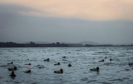 Sukhna Lake