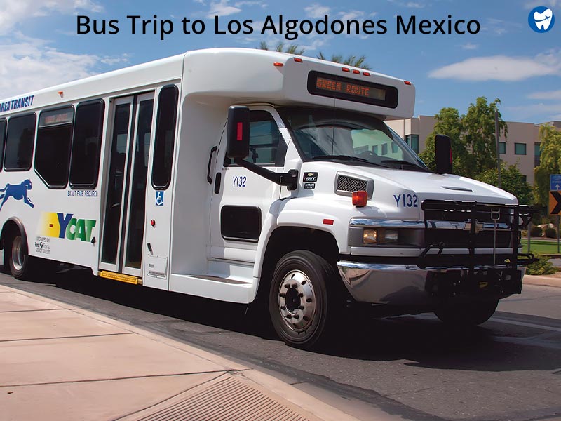 Bus Trip to Los Algodones, Mexico