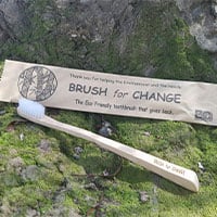 Brush for change 6 pack