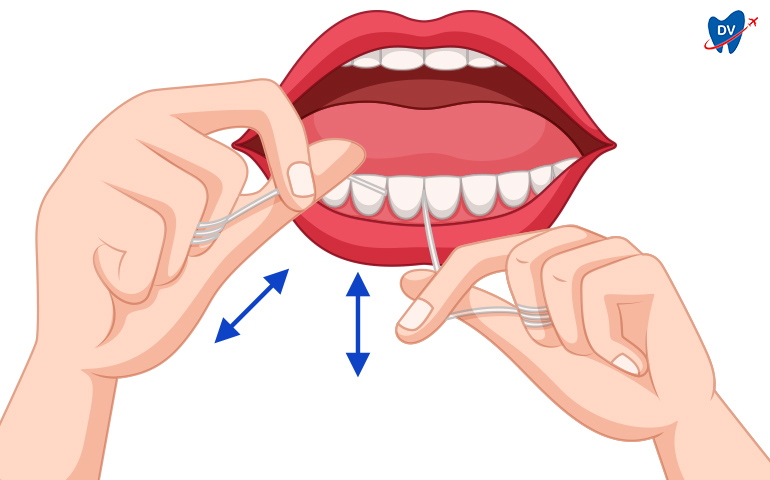 Back & Forth motion of flossing