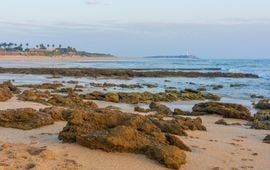 Puerto Los Cabos